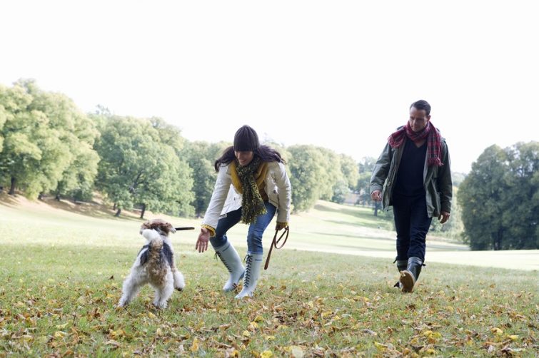 Flytta med hund, kvinna och man leker med flyttad hund.